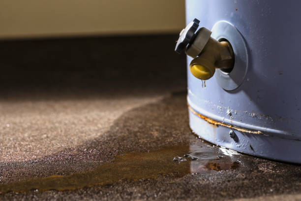 Best Basement water damage restoration  in Neptune Beach, FL