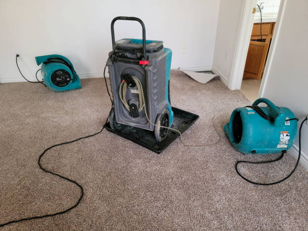 Best Commercial water damage restoration  in Neptune Beach, FL