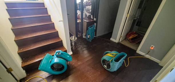 Best Sewage cleanup and water damage restoration  in Neptune Beach, FL
