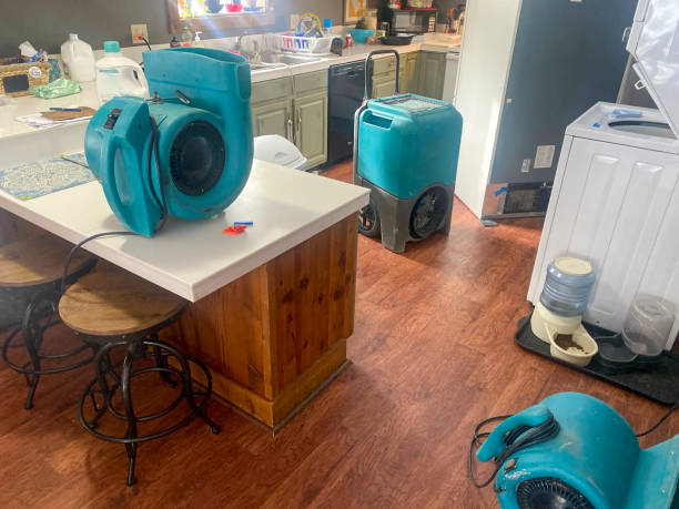 Best Mold removal after water damage  in Neptune Beach, FL