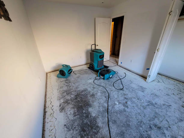 Best Water damage restoration near me  in Neptune Beach, FL