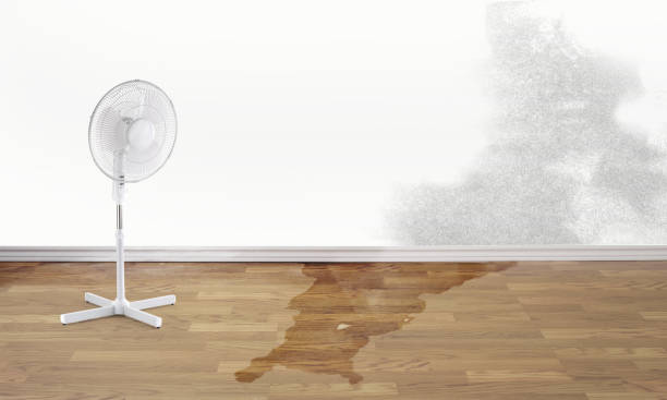 Best 24/7 water damage repair  in Neptune Beach, FL