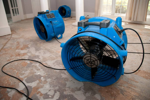 Best 24-hour water damage restoration  in Neptune Beach, FL
