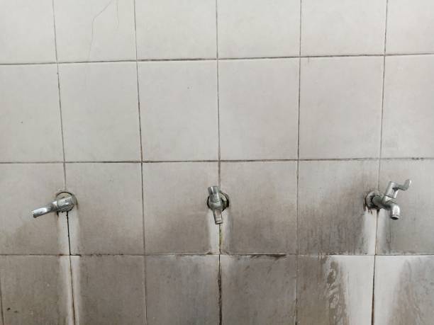 Best Ceiling water damage repair  in Neptune Beach, FL