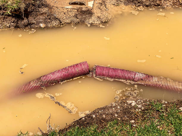 Best 24-hour water damage restoration  in Neptune Beach, FL